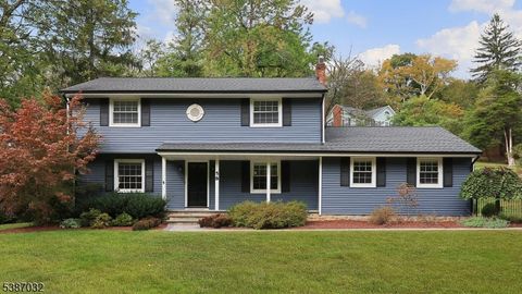58 Seney Dr Bernardsville Boro NJ 07924