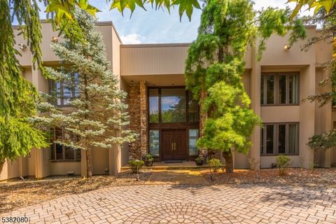 142 Deer Run Green Brook Twp. NJ 07069