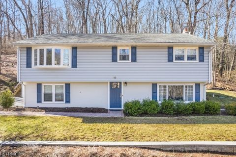 10 Ironia Rd Mendham Twp. NJ 07945