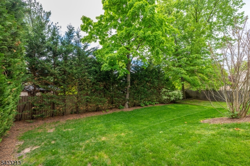 63 Ridgedale Ave B