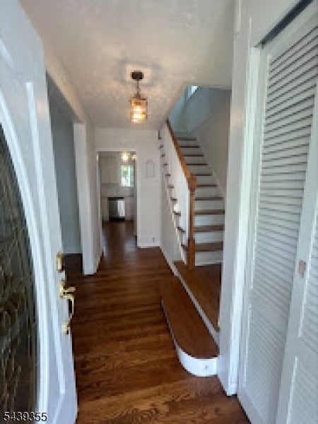 31 Garden St