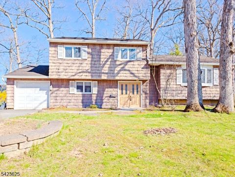 14 Bunyan Dr Livingston Twp. NJ 07039