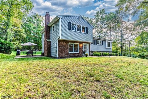 9 WHITMAN DRIVE Denville Twp. NJ 07834