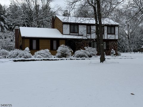 4 Hickory Ln Readington Twp. NJ 08889