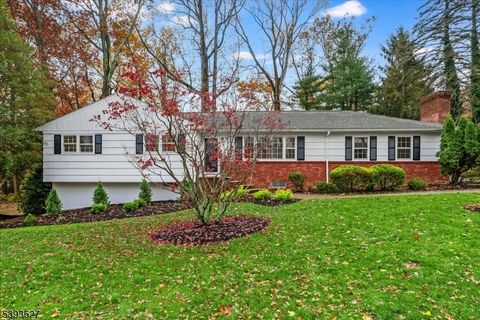 64 Highlands Ave Springfield Twp. NJ 07081
