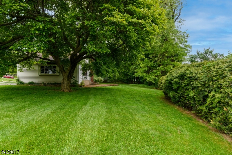 98 Bromley Pl