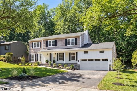 10 Robert Ct Verona Twp. NJ 07044