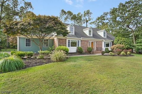 182 Rock Rd West Green Brook Twp. NJ 08812