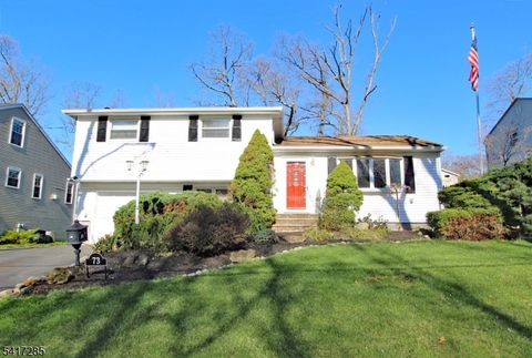 73 Winchester Rd Livingston Twp. NJ 07039