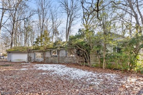 20 Hidden Glen Rd Upper Saddle River Boro NJ 07458