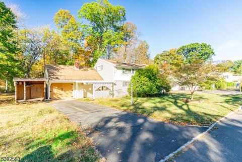 Photo of 148 Woodland Rd, Piscataway, NJ 08854 (MLS # 3993671)