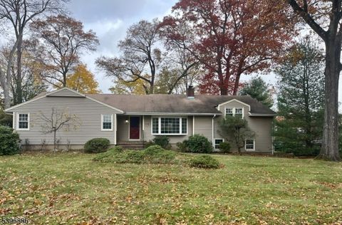 80 Mary Ann Ln Wyckoff Twp. NJ 07481