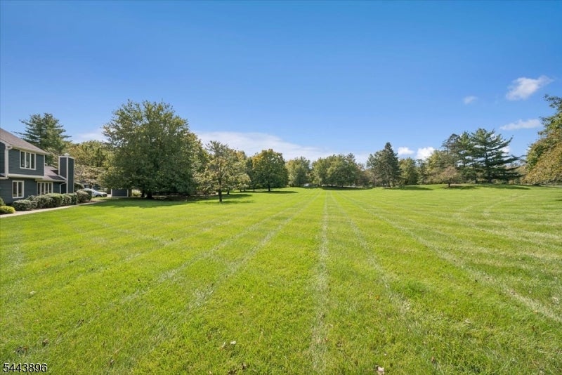 10 Village Dr