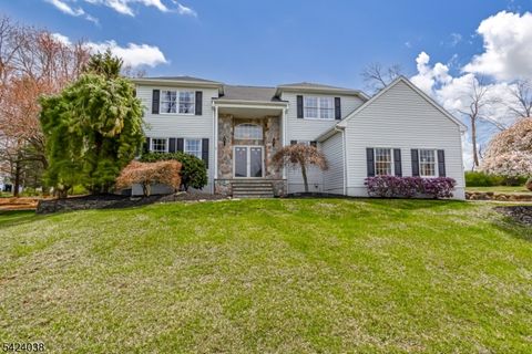 25 Tamarack Dr Roxbury Twp. NJ 07876