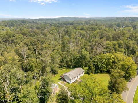 411 Shades Of Death Rd Allamuchy Twp. NJ 07838