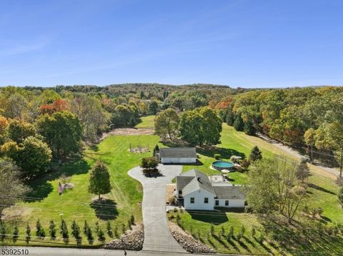 Photo of 32 Pulaski Rd, Readington, NJ 08889 (MLS # 3994274)