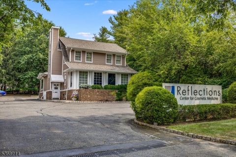 299 E Northfield Rd Livingston Twp. NJ 07039