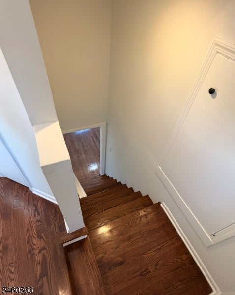 9 Hunter St