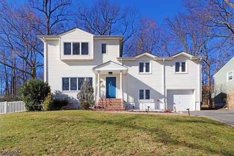 15 Countryside Dr Livingston Twp. NJ 07039