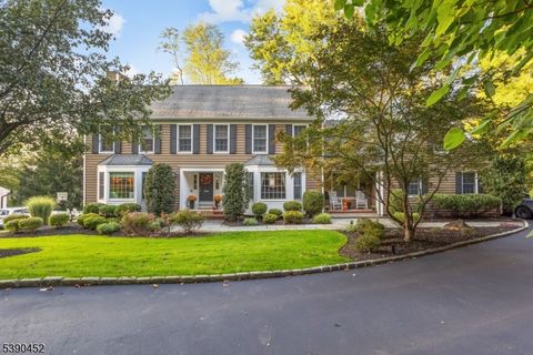 100 Hickory Tavern Rd Long Hill Twp. NJ 07933