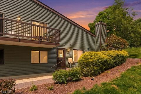 55 Meadowview Dr Clinton Twp. NJ 08801