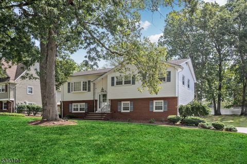 22 Mary Dr Montville Twp. NJ 07082