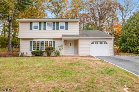 4 Stanley Ter Rockaway Twp. NJ 07866