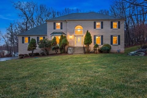 17 Pleasant Village Dr Roxbury Twp. NJ 07876