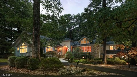 118 Wildwood Ter Watchung Boro NJ 07069