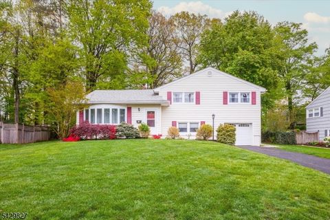 10 Ridge Way Fanwood Boro NJ 07023