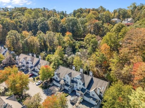 Photo of 27 Rainier Ct, Allamuchy, NJ 07840 (MLS # 3991466)