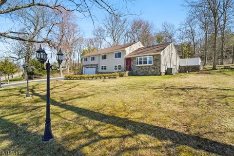 320 Beaufort Ave Livingston Twp. NJ 07039