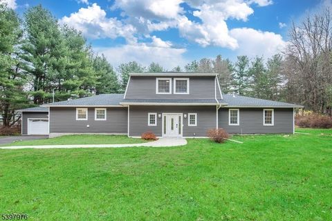 115 Scudders Rd Sparta Twp. NJ 07871