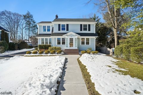 553 Parkview Ave Westfield Town NJ 07090