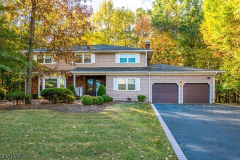 8 Woodmere Rd North Brunswick Twp. NJ 08902