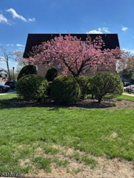 731-733 Belleville Ave 15