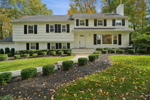 6 Joanna Way Summit City NJ 07901