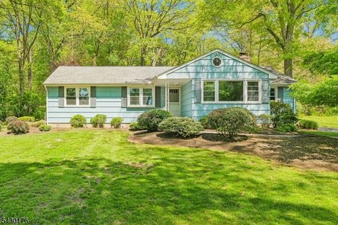 59 Stella Dr Bridgewater Twp. NJ 08807