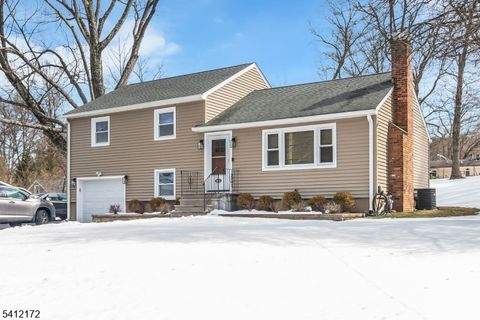 871 Tabor Rd Parsippany-Troy Hills Twp. NJ 07950