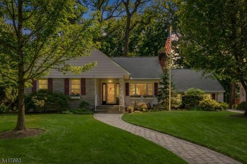 10 Tree Top Dr Springfield Twp. NJ 07081