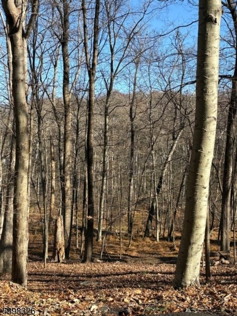 2 Kent Brook Ter Kinnelon Boro NJ 07405