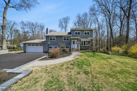 47 Crossbrook Rd Livingston Twp. NJ 07039