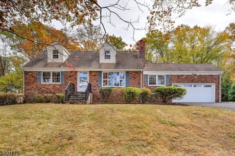 13 Greenbrier Rd Green Brook Twp. NJ 08812