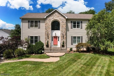 217-219 3Rd Street Green Brook Twp. NJ 08812