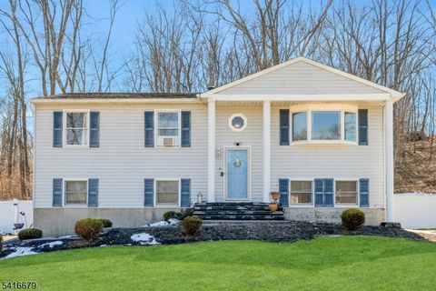 12 August Ln Wantage Twp. NJ 07461