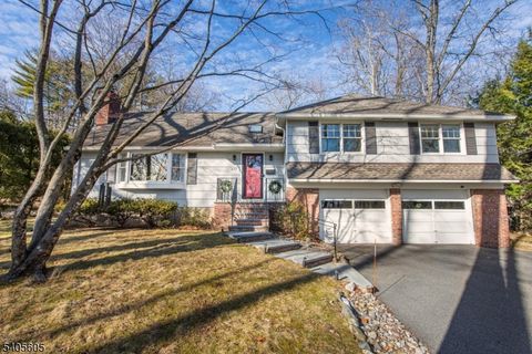 237 Morris Ave Mountain Lakes Boro NJ 07046