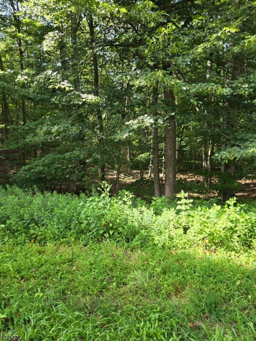 54 Northwood Rd
