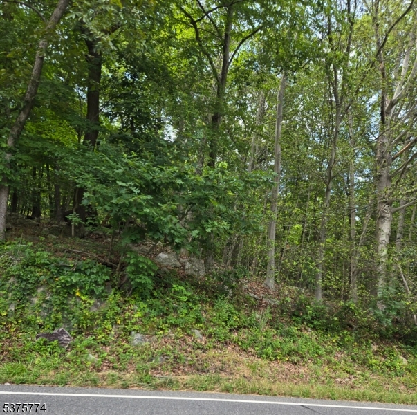 54 Northwood Rd