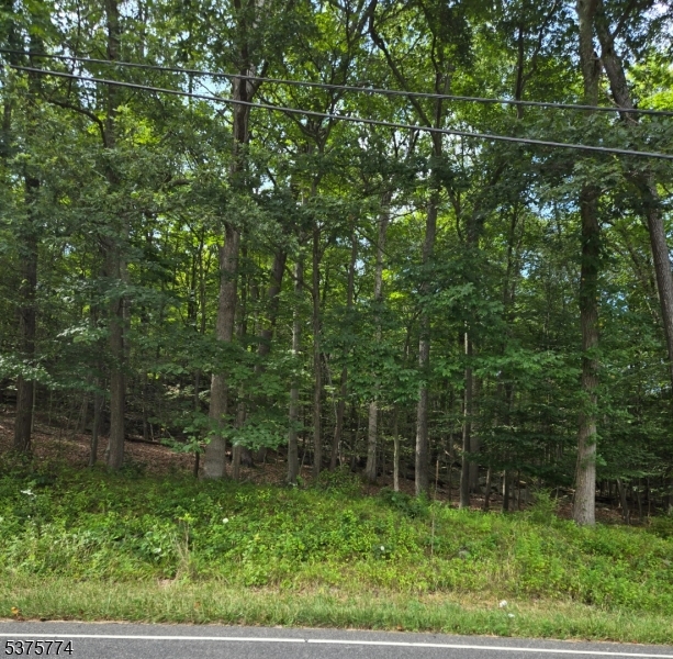 54 Northwood Rd