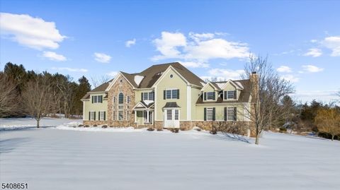 4 Steinbeck Ct Alexandria Twp. NJ 08848